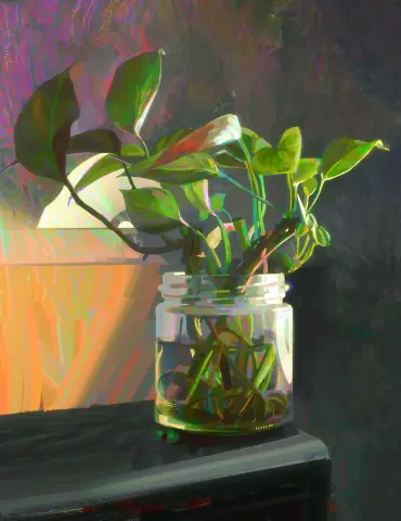 Foliage Study
